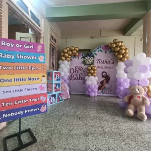 Baby Shower Customized Backdrop